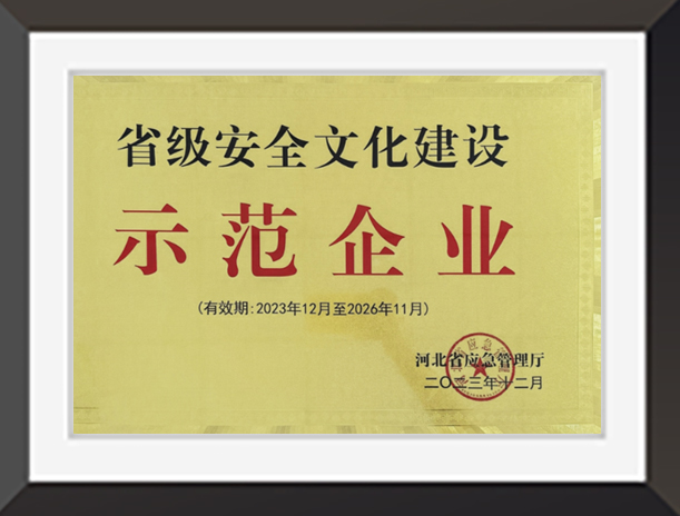 省級(jí)安全文化建設(shè)示范企業(yè)