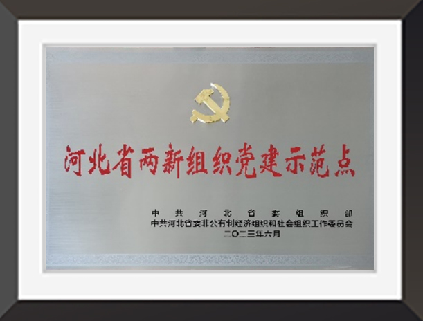 河北省兩新組織黨建示范點(diǎn)