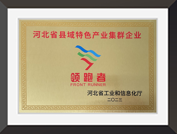 河北省首批縣域特色產(chǎn)業(yè)集群“領(lǐng)跑者”企業(yè)